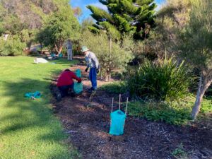 Three people are working on gardening tasks in a leafy outdoor area with trees and shrubs. Two are kneeling and planting, while one stands in the background. Green planting bags are visible on the ground.