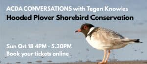 Hooded Plover Conversations
