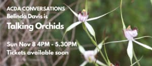 Orchid Talk