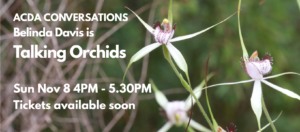 Orchid Talk